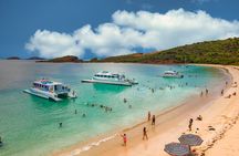 Vieques: Beach and Snorkeling Tour by Catamaran from Fajardo