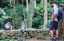 Ubud: Monkey Forest, Water Temple, Rice Terrace, Waterfall