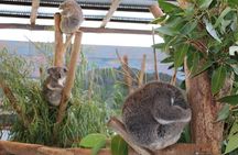 Blue Mountains Experience - Timeless Nature on a grand scale 