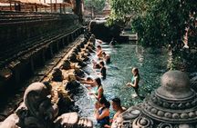 Ubud: Monkey Forest, Water Temple, Rice Terrace, Waterfall