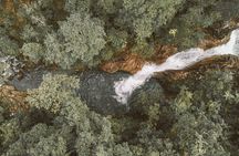 Eungella Platypus Tour