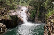 Eungella Platypus Tour
