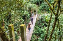 La Chorrera Cloud Forest & Waterfall Hike