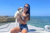 Boat Rental In Cartagena For 8 People