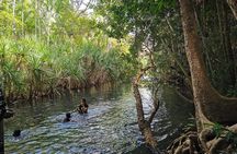 Jumping Croc Cruise, Berry Springs, Fogg Dam & Humpty Doo Pub 