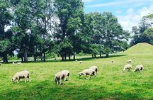 Auckland City Highlights Full Day Tour