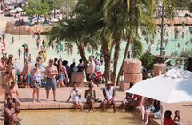 Sun City Day Tour From Johannesburg