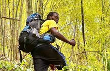 4-Hours Bike, Hike & Waterfall Tour in Blue Mountain with Lunch and Pick Up