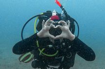 Scuba Diving try dive in Fuerteventura