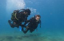 Scuba Diving try dive in Fuerteventura