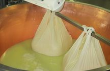 From Parma: Parmigiano,Prosciutto and winery Tour and tasting