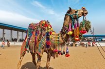6 Day Golden Triangle With Pushkar-Delhi Agra Jaipur Pushkar Tour