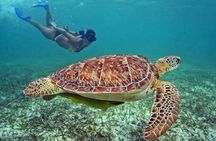 Tulum Adventure Ruins & swim in Akumal Beach & Cenote from Cancun
