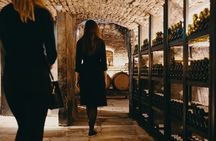Visit of our 15th century cellars