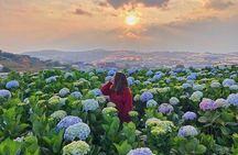 Full Day Car Tour Excursion Dalat ( Minimum 4 guest)
