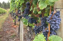 Lake Country Wine Tour