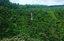Fascinating Nature Tour Incl Ebony Forest, 7 Coloured Earth,Lunch