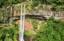 Fascinating Nature Tour Incl Ebony Forest, 7 Coloured Earth,Lunch