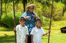 Private Native Tour of the Road to Hana with Cultural Lunch Show 