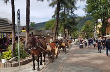 Thermal Pools and Zakopane Tatra Mountains from Krakow, Private