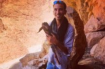 8 Days Sahara Private Tour from Casablanca to Marrakech