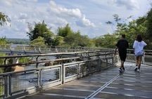 Tour Iguassu Falls, 1 of 7 wonders