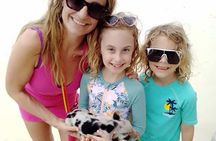 Swimming Pigs Half Day Charter on Cruisin Tiki Bar Boat 8 persons