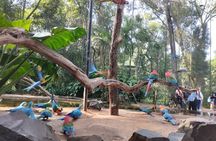 Brazilian Falls, Parque das Aves and Itaipu, hotels in Brazil