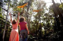 Brazilian Falls, Parque das Aves and Itaipu, hotels in Brazil