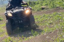 ATV, Zipline, Horseback, Bamboo Rafting and Rick’s Cafe