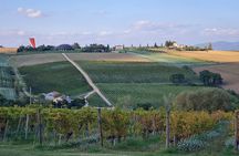 Umbria Wine Lovers: Montefalco & Bevagna with Winery Lunch