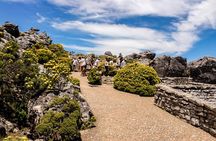 Table Mountain, Signal Hill, Chapmans Peak, Cape Point & Penguins