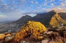 Lion's Head Hike for Sunrise with coffee/tea or Sunset