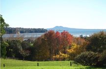 Auckland Nature Tour 