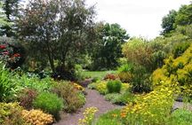 Auckland Nature Tour 