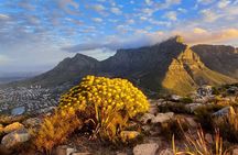 Hiking Lion's Head Sunrise or Sunset 