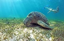 Exploring Nosy Sakatia with guide