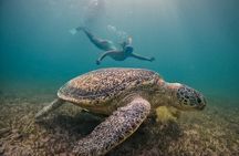 Exploring Nosy Sakatia with guide