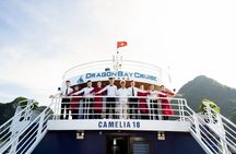 Dragon Bay Cruise - Luxury Halong Bay & Lan Ha Bay 2 Days 1 Night