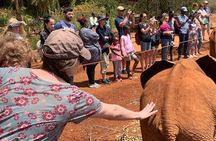 Day Tour to Nairobi national park, Elephants, and Giraffe Center 