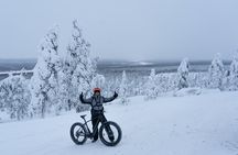 Electric Fatbike Tour in Winter