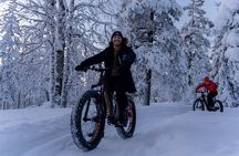 Electric Fatbike Tour in Winter