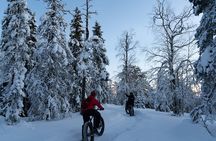 Electric Fatbike Tour in Winter