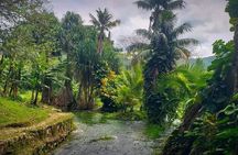 Rastafari Cultural ATV Community Experience from Negril