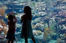 Xcaret Park Plus Access with Transportation and Night Show