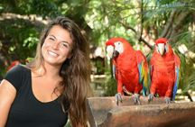 Xcaret Park Plus Access with Transportation and Night Show