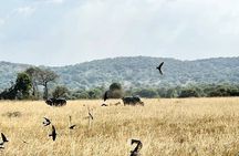 Full Day Akagera National Park Game Drive and Boat Safari