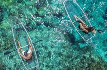 Mangrove Cay Tour