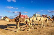 Magical Dinner and Sunset in Agafay Desert