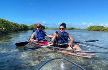 Mangrove Cay and Iguana Island Tours